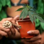 How Long Does It Take to Get a Medical Marijuana Card?