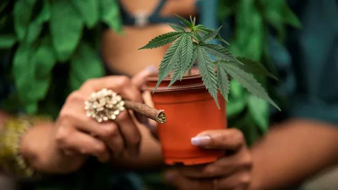 How Long Does It Take to Get a Medical Marijuana Card?